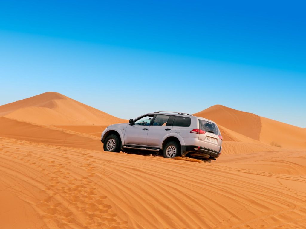 Excursies | WRC Reizen
