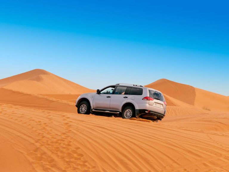 Excursies | WRC Reizen