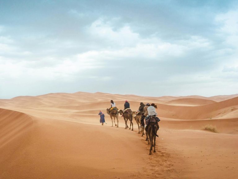 Excursies | WRC Reizen