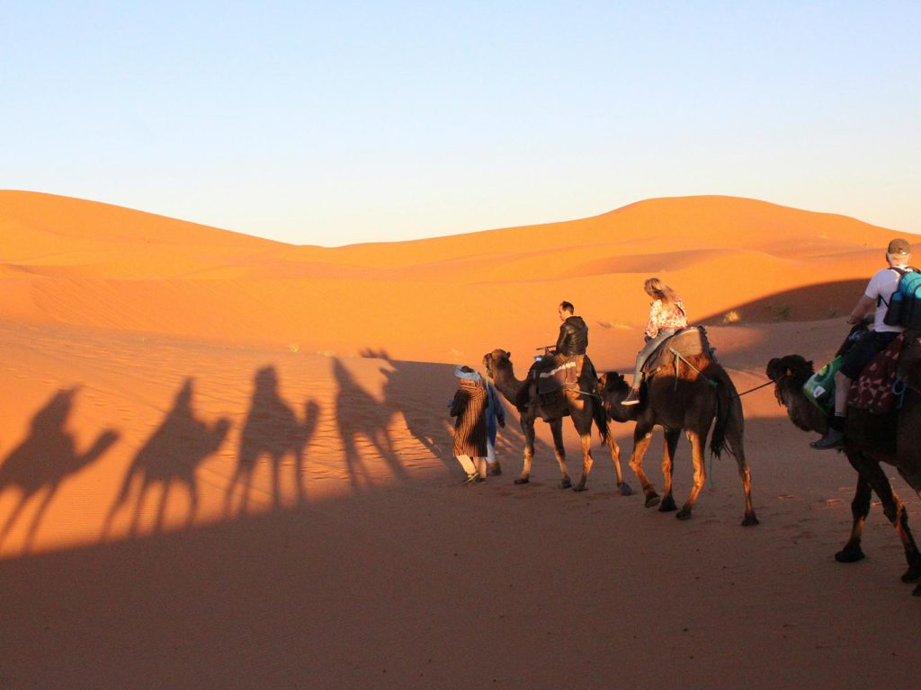 Excursies | WRC Reizen