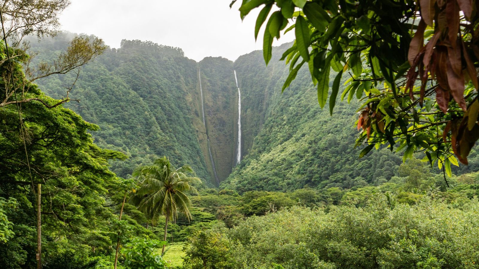 Rondreis Amerika, Big Island Hawaii, Groen bos met waterval