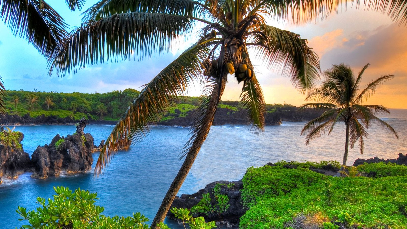 Rondreis Amerika, Hawaii, Maui, Waianapanapa State Park, Palmbomen aan de zee