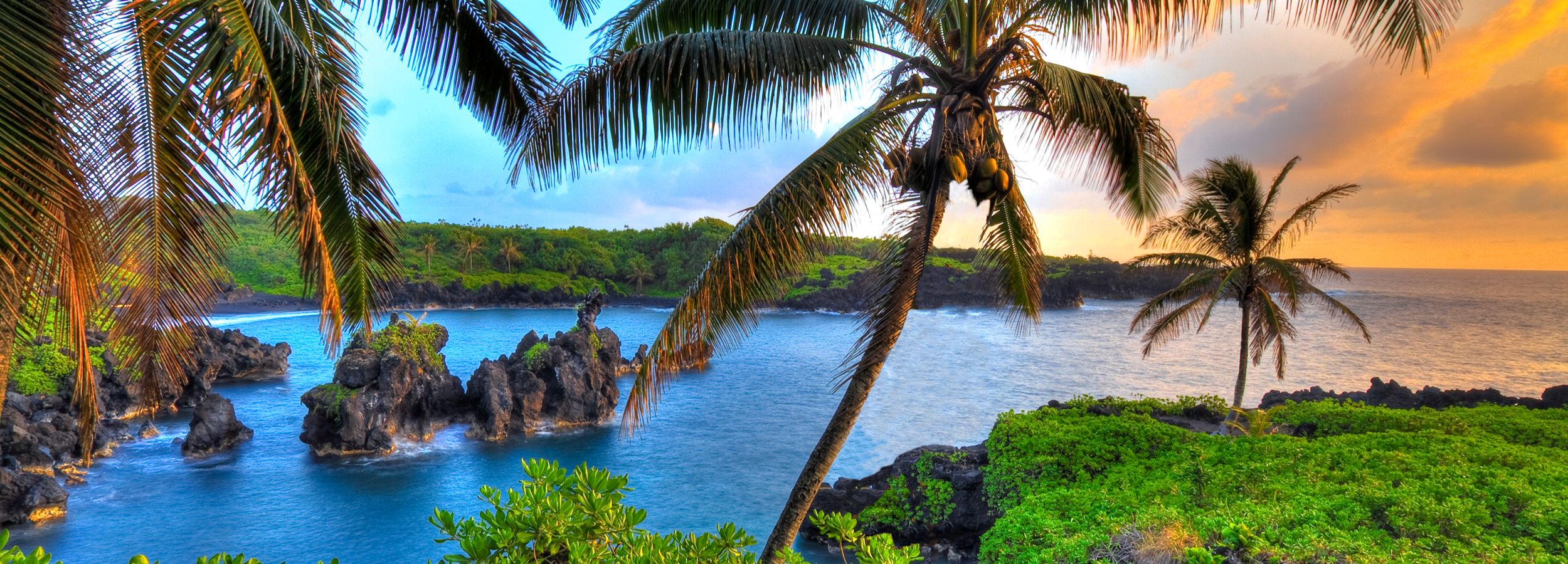 Rondreis Amerika, Hawaii, Maui, Waianapanapa State Park, Palmbomen aan de zee