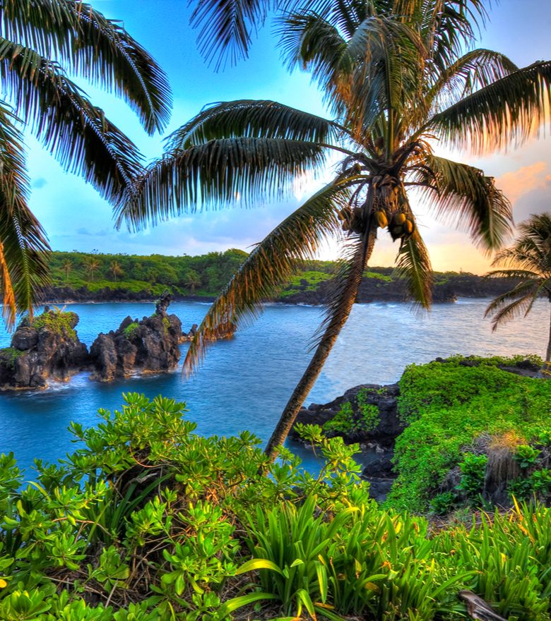 Rondreis Amerika, Hawaii, Maui, Waianapanapa State Park, Palmbomen aan de zee