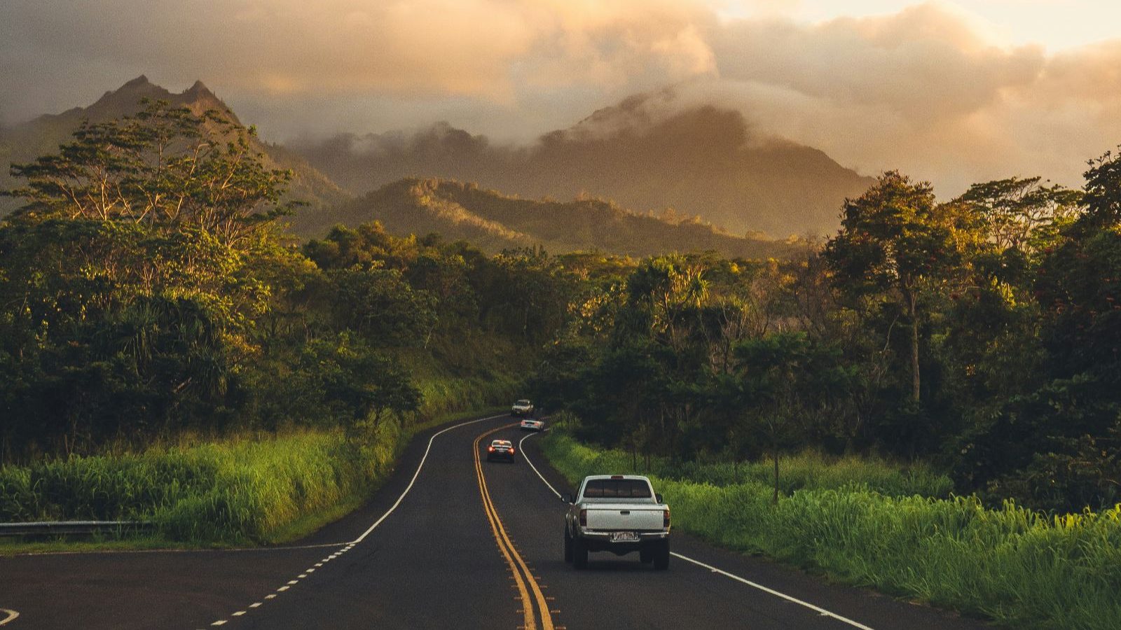 Rondreis Amerika, Kauai, Weg door groen landschap