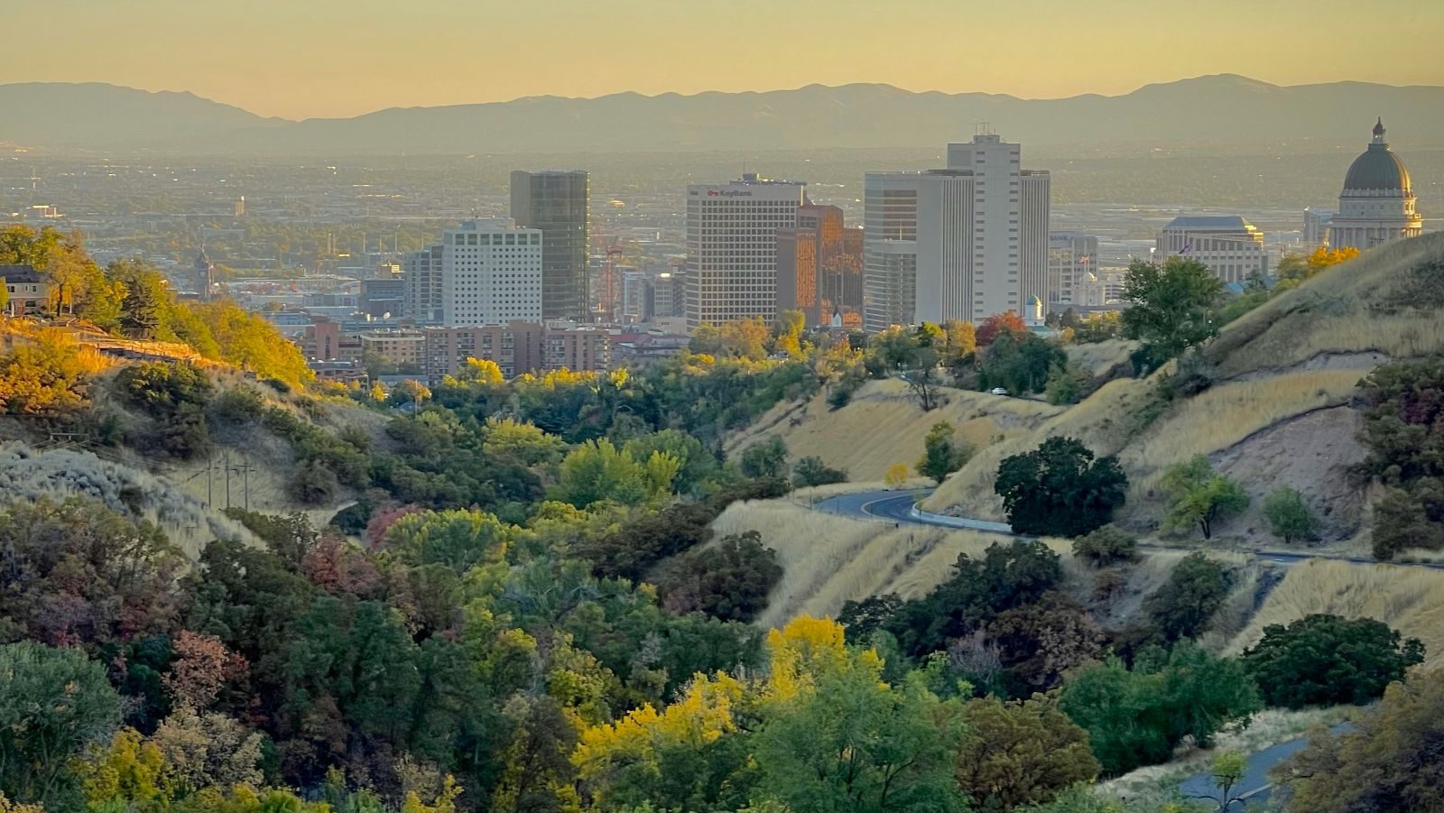 Rondreis Amerika, Salt Lake City, bomen voor stadsgebouwen