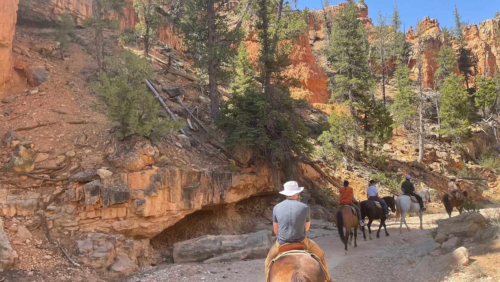 Rondreis Amerika, West-Amerika, Bryce Canyon, paardrijen in Bryce Canyon
