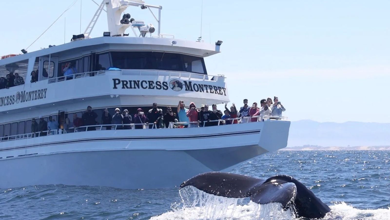 Rondreis Amerika, West-Amerika, Monterey, Walvistour, Princess Monterey boot met walvis