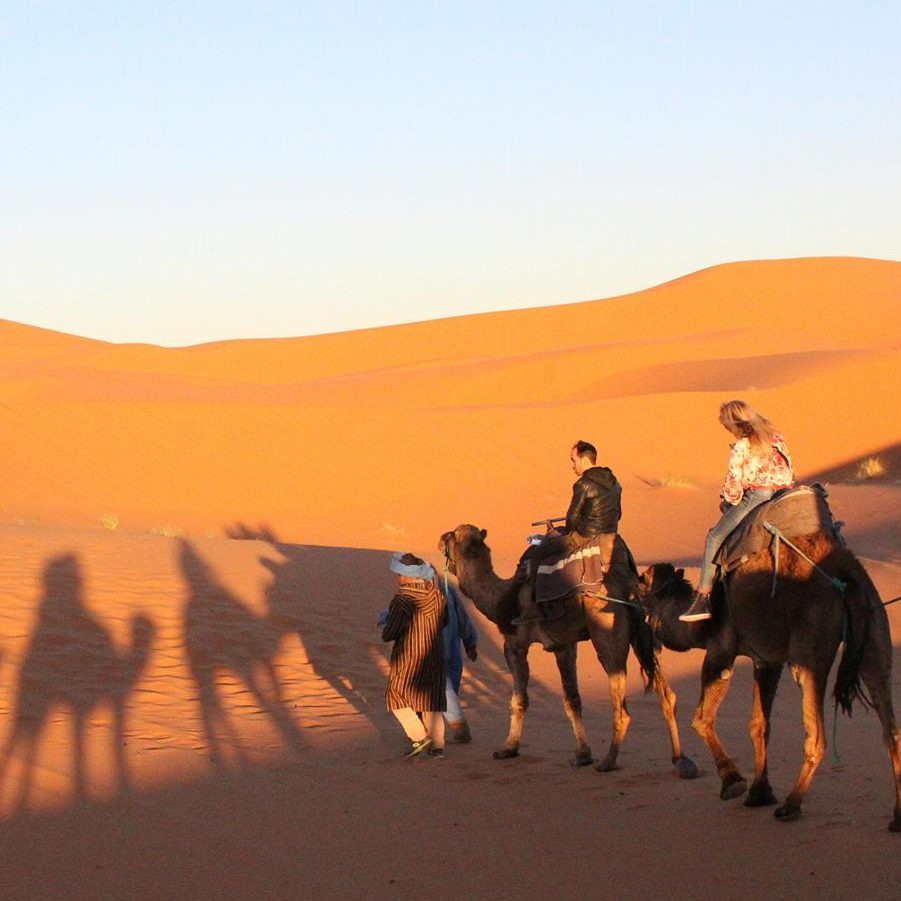 Rondreis-Marokko-kamelentocht-door-de-Sahara-kamelen-in-woestijn-met-reizigers