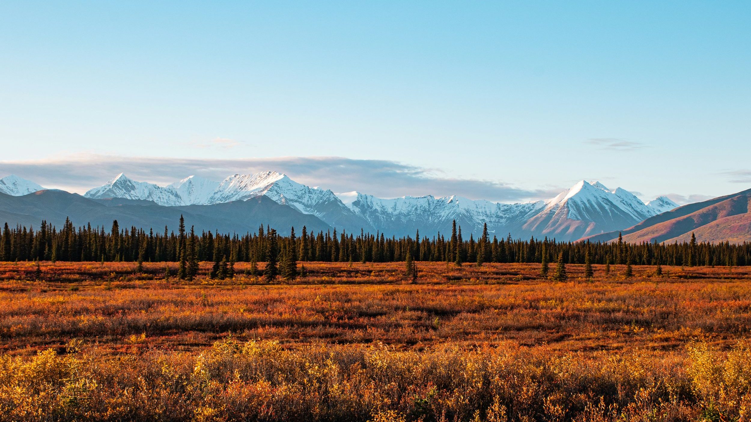 Rondreis Amerika, Alaska, Denali National park, uitzicht over de bergen