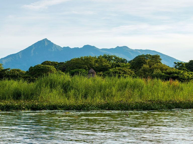Excursies | WRC Reizen